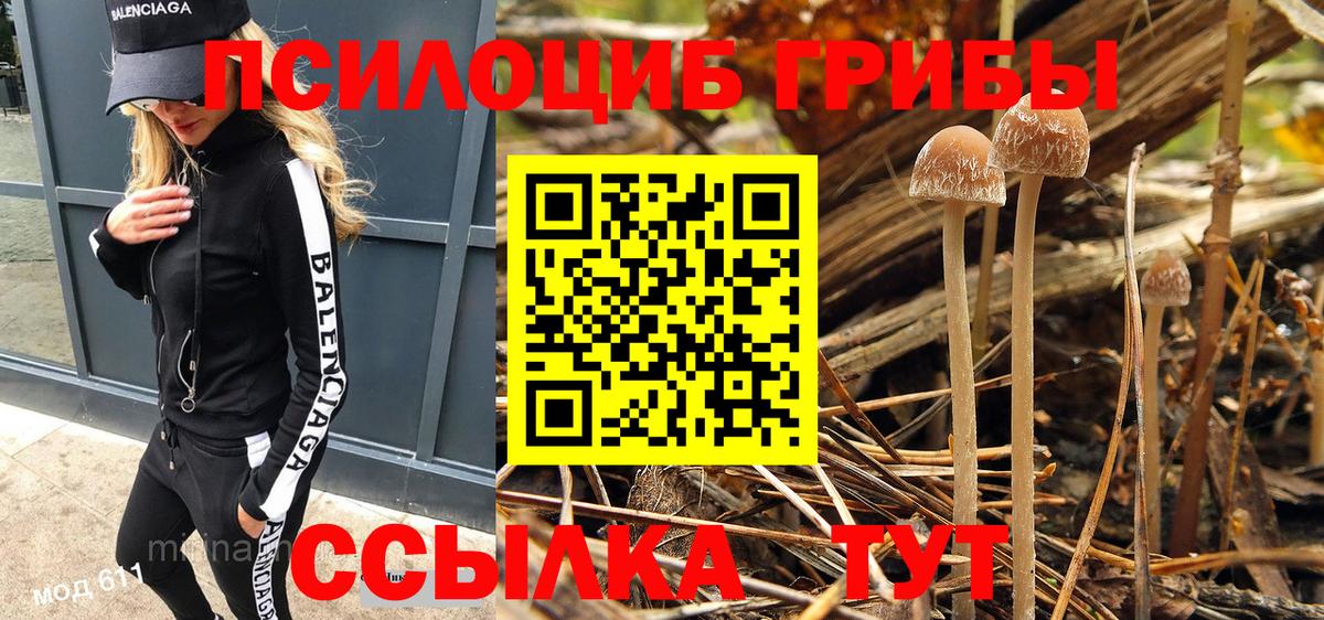 Псилоцибиновые грибы GOLDEN TEACHER Семилуки