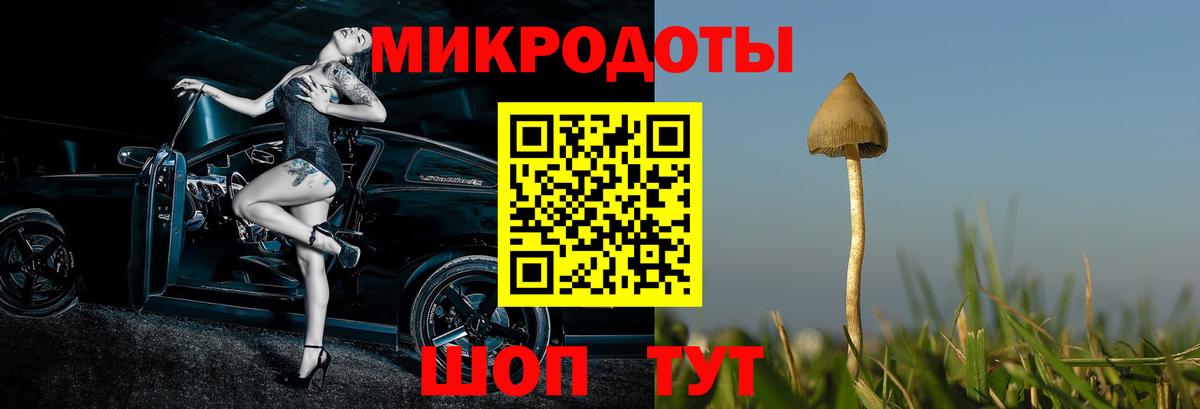 Семилуки  Псилоцибиновые грибы Psilocybine cubensis  Псилоцибиновые грибы Cubensis  Вход с VPN 