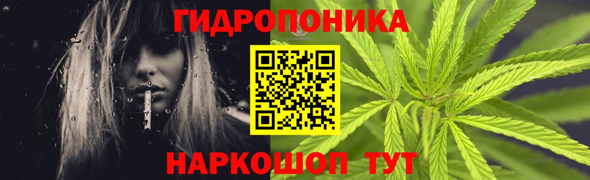 Бошки Шишки SATIVA & INDICA  Вход с VPN  Конопля ГИДРОПОН  Канабис ГИДРОПОН  Семилуки 